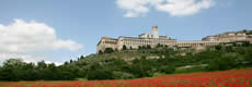 agriturismi per celiaci